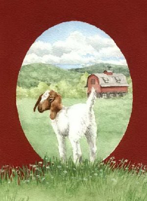 book by Gail Bowman, Country Tales book of humor